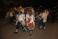 Altsasu inauteriak 2008 114