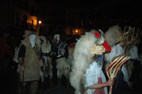 Altsasu inauteriak 2008 151