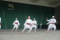 Añorga Karmen 2010 ezpata-dantza eta brokel-dantza 139