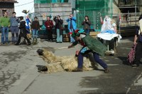 Arizkun inauteria 2008 068