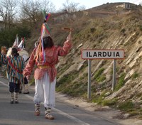IIarduia_2009_EXD_03