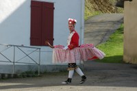 Atharratze-Alozeko Maskaradak Arrokiagan 2008 230
