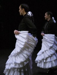 axuri beltza