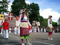 Baigorri: Nafarroaren eguna 2011