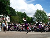 Baigorri: Nafarroaren eguna 2011