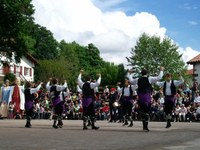 Baigorri: Nafarroaren eguna 2011