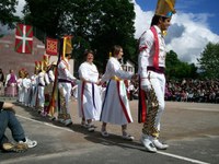 Baigorri: Nafarroaren eguna 2011