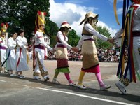 Baigorri: Nafarroaren eguna 2011