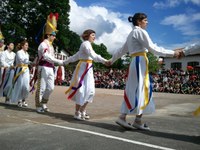 Baigorri: Nafarroaren eguna 2011