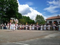 Baigorri: Nafarroaren eguna 2011