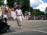 Baigorri: Nafarroaren eguna 2011
