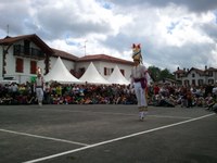 Baigorri: Nafarroaren eguna 2011