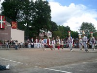 Baigorri: Nafarroaren eguna 2011