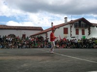 Baigorri: Nafarroaren eguna 2011
