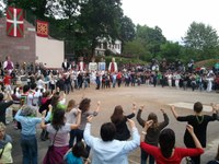 Baigorri: Nafarroaren eguna 2011