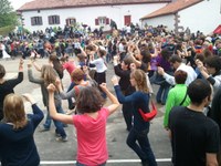 Baigorri: Nafarroaren eguna 2011
