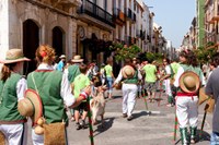 Torredembarra 2010 IZ 0294
