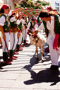 Torredembarra 2010 IZ 0297