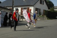 Barkoxe Larraineko maskaradak 2010 OA 022