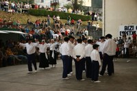 Bedaio Ingurutxoa 2008 012