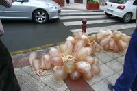 Hernani Azeri-dantza 2008 001