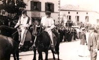 Zaldunak