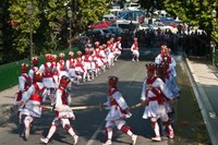 Iruñea ezpata-dantza 2009 IZ 8949