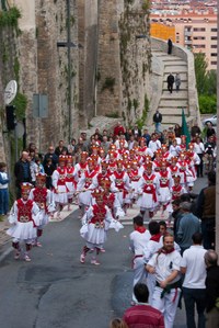 Iruñea ezpata- dantza 2010 IZ 3342