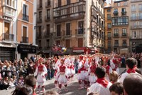 Iruñea ezpata- dantza 2010 IZ 3446