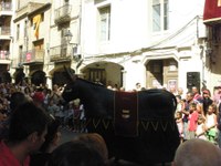 LArboc 2009 Festa Major OA 029