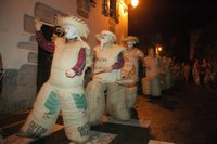 Lesaka zaku-zaharrak 2007 103