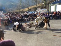 2011-02-06_Maskarada-Santa-Grazi-JI-80816