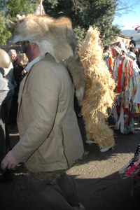 Silio La Vijanera 2008 023