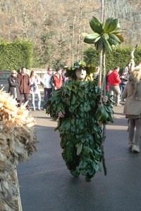 Silio La Vijanera 2008 049