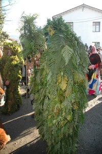 Silio La Vijanera 2008 028