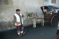 Silio La Vijanera 2008 188