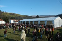 Silio La Vijanera 2008 215