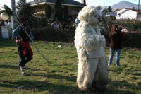 Silio La Vijanera 2008  3434