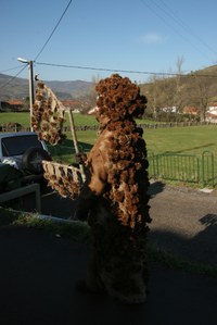 Silio La Vijanera 2008  3415