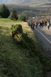 Silio La Vijanera 2008  3396