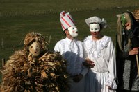 Silio La Vijanera 2008  3407