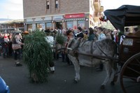 Silio La Vijanera 2008  3413