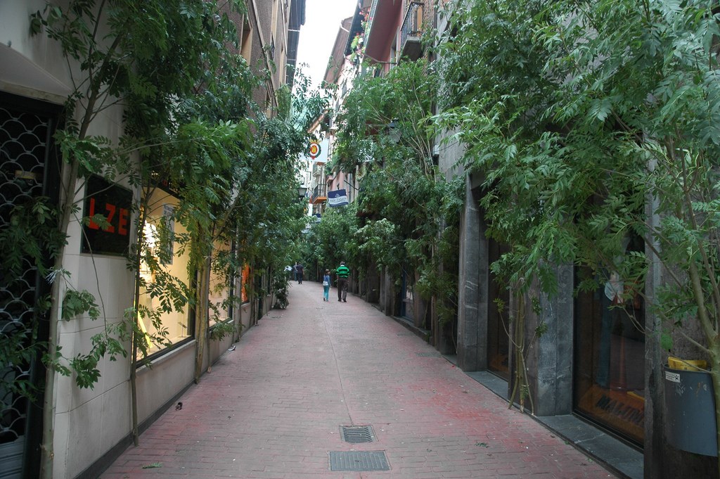 Tolosa Bordon-dantza 2008 005