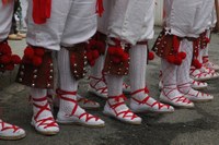 Tolosa Bordon-dantza 2008 214