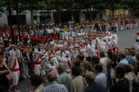Tolosa Bordon-dantza 2008 315