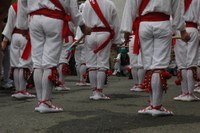 Tolosa Bordon-dantza 2008 247