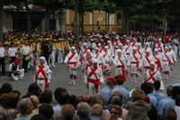 Tolosa Bordon-dantza 2008 346