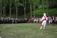 Tolosa Bordon-dantza 2008 Aurreskua 486