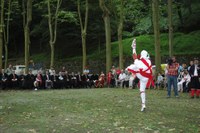 Tolosa Bordon-dantza 2008 Aurreskua 488