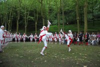 Tolosa Bordon-dantza 2008 Aurreskua 501